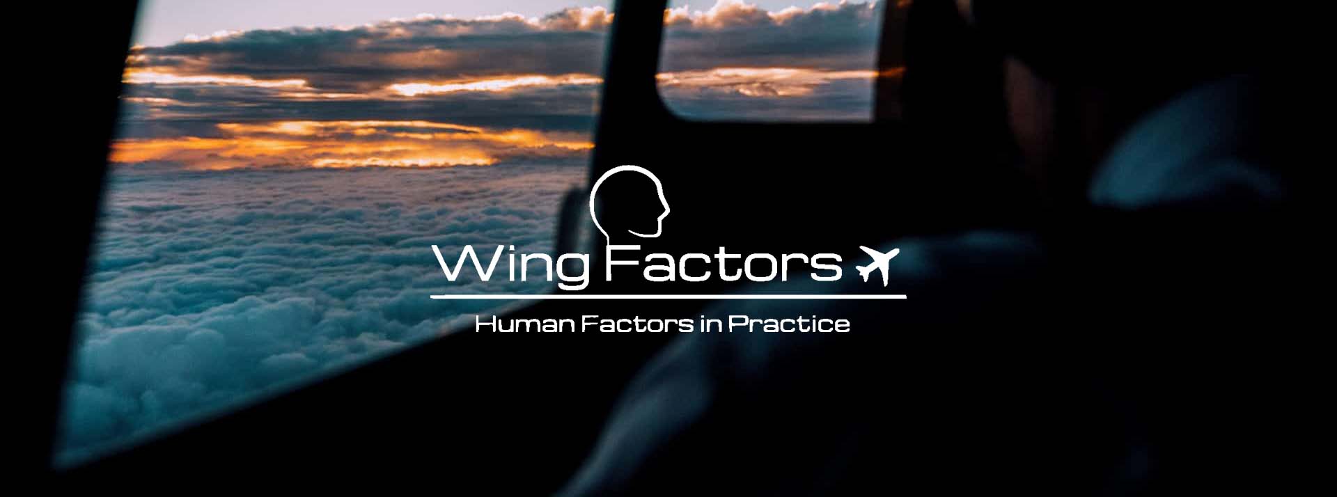 wingfactors pilot window